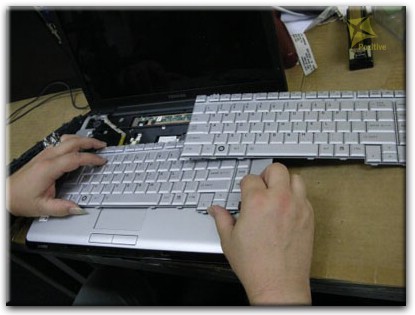 Ремонт клавиатуры на ноутбуке Toshiba в Гомеле